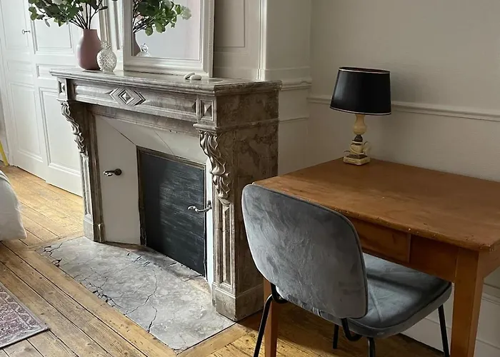 Apartamento Le Grand Louis, Hypercentre