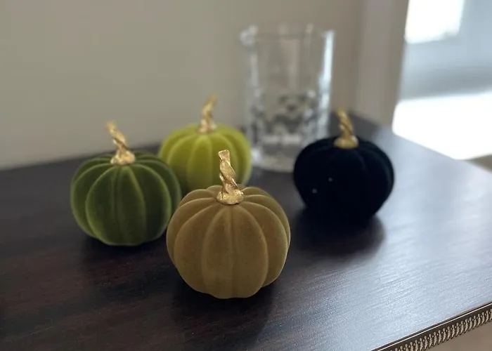 Le Grand Louis, Hypercentre Apartamento